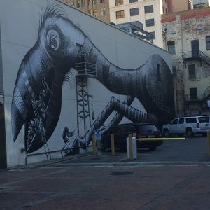 Meet your Posher, Jimmy